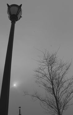 a street light sitting next to a tree on a foggy day with the sun in the distance