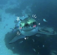 a shark swimming in the ocean with it's mouth open