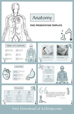 an info sheet with medical diagrams on it and the text anatomy, free presentation template