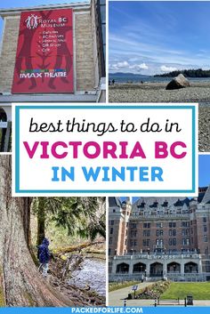 the best things to do in victoria bc in winter