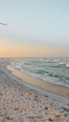 two birds flying over the ocean on a sandy beach at sunset with waves coming in