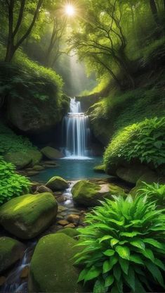 a waterfall in the middle of a forest with green plants and rocks on either side