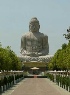 a large buddha statue sitting in the middle of a walkway next to trees and bushes