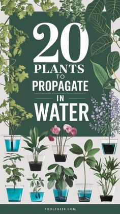 the book cover for 20 plants to propagate in water