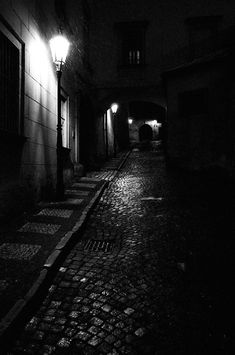 a dark alley with street lights and cobblestone pavement