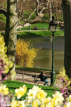 a person sitting on a park bench next to a pond with flowers in the foreground