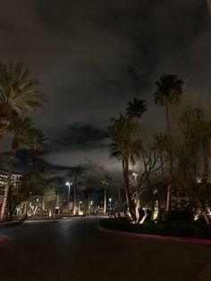 palm trees line the street at night in front of a building with lights on it