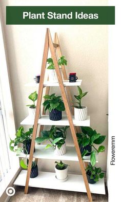 a shelf filled with plants and potted plants