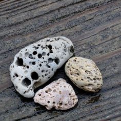 three rocks sitting on top of a wooden table next to each other with holes in them