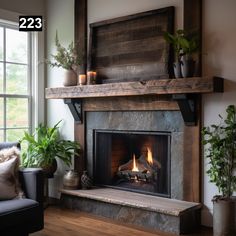 a living room with a fire place and potted plants on the fireplace mantel