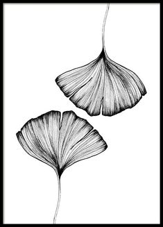 two flowers that are in the middle of a black and white photo, with one flower on