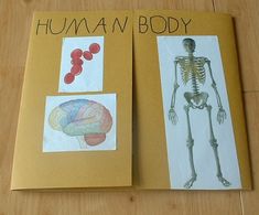 two books with pictures of human body on them