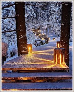 Winter Landscaping Lights - Find your dream items at Amazon.com. Buy what you wanted TODAY! Find Cheap Flights, Backyard Lighting, Have Inspiration, Outdoor Decor Backyard, Garden Art Crafts, Garden Art Sculptures, Garden Art Diy, Cheap Flights, Landscape Lighting