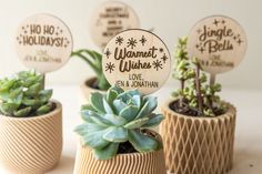 three small wooden planters with succulents in them