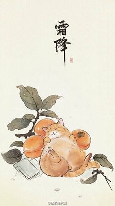 an orange cat is laying on the ground next to some leaves and fruit, with chinese characters above it