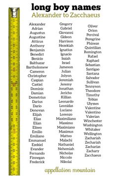 a long yellow ruler with words written on it and the names of different types of rulers