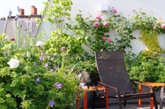 an orange lawn chair sitting in the middle of a garden with flowers and plants around it