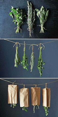 herbs hanging on clothes line with paper bags