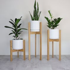 three potted plants sitting on wooden stands in front of a white wall and floor