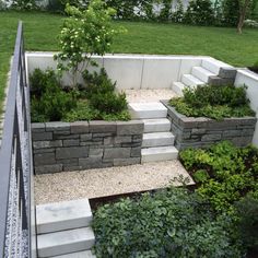 an outdoor garden with stone steps and plants growing on the side of the wall,