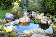 a small pond surrounded by rocks and plants