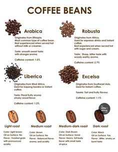 coffee beans and their names are shown in this graphic style, which includes different types of coffee