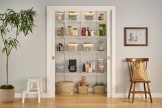 an open door to a room with various items on shelves and a potted plant in the corner