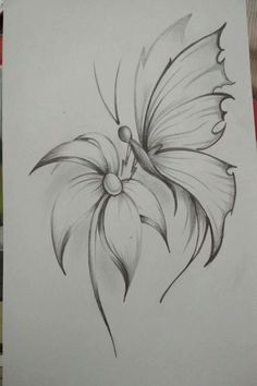 a drawing of a butterfly on paper