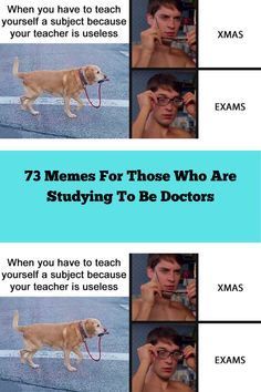 an image of a dog with glasses on it's face and the words, 73 men for those who are studying to be doctors