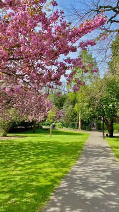 the path is lined with pink flowers and green grass, along with trees in bloom