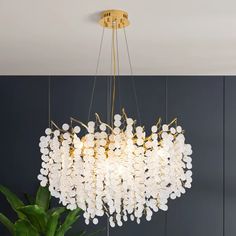 a large chandelier hanging from the ceiling in a room with a potted plant