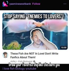 two fish in front of one another with the caption saying stop saying'enemes to lovers '