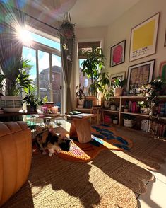 a cat laying on top of a rug in a living room next to a window