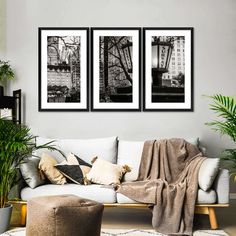 three black and white pictures hanging on the wall above a couch in a living room