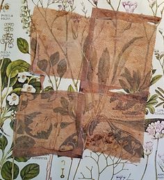 four pieces of paper with flowers and leaves on them