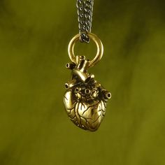 Small Gold Anatomical Heart Necklace - Goth Mall Anatomical Heart Pendant, Anatomically Correct Heart, Indie Tattoo, Anatomical Heart Necklace, Forever Gifts, Pendant Heart, 24 Karat Gold, Anatomical Heart, Bronze Jewelry