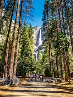 many people are walking down the road in front of some tall trees and a waterfall