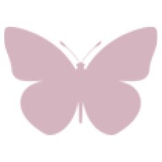 a pink butterfly on a white background