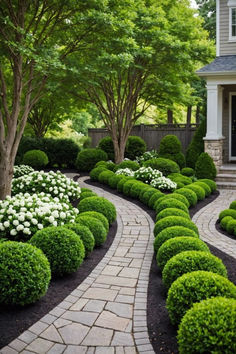 a garden with lots of green bushes and white flowers