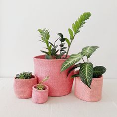 three pink planters with plants in them on a white tableclothed surface,