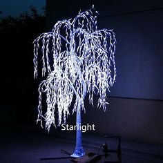 a lighted tree in the dark with white lights on it's trunk and branches