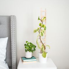 a white nightstand topped with a potted plant next to a bed