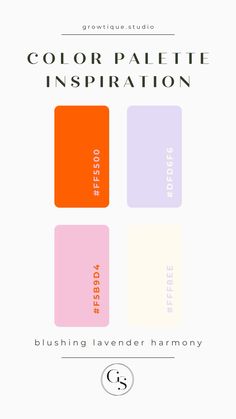 the color palette for an inspirator is shown in orange, pink and blue