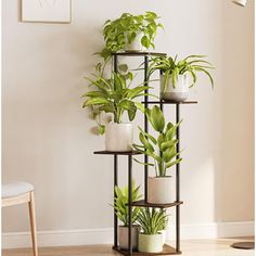 three tiered plant stand with potted plants