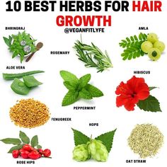 Herbs for Hair Growth👇🔥💚 . Tag someone who needs to see this🙏 . What is your favorite hair growth herb on the list? Comment below? . There… | Instagram Herb For Hair Growth, Herbs That Help Hair Growth, Herbs Good For Hair Growth, Indian Herbs For Hair Growth, Herbal Hair Oil Homemade, Scalp Care For Hair Growth, Teas For Hair Growth, Herbs Hair Growth, Hair Growth Herbs