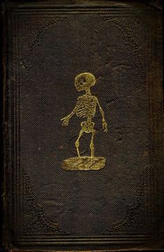 an old book with a skeleton on it