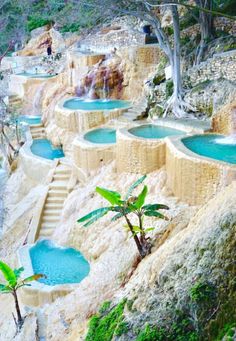 an outdoor swimming pool with steps leading up to it and trees growing on the side