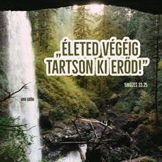 there is a waterfall in the woods with a bible verse above it that reads, elted vegeo tarson kierod