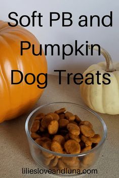 a bowl full of dog treats next to a pumpkin with the words soft pb and pumpkin dog treats