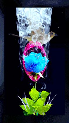 a bird is flying over a flower with water droplets on it's petals and green leaves in the foreground